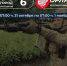 В Белгородской области бойцы «БАРС-Белгород» и «Орлан» сбили 34 FPV-дрона за ночь - Комсомольская Правда