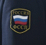 img - ЛДПР