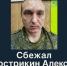 В Белгороде разыскивают военного, обвиняемого в тяжких преступлениях в Новой Таволжанке - Fonar.Tv