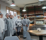 Экскурсия студентов направления подготовки «Технология продукции и организация общественного питания» и специальности «Поварское и кондитерское дело» на кондитерскую фабрику «Белогорье»