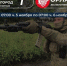 Семь беспилотников сбили за сутки подразделения «БАРС-Белгород» и «Орлан» - Комсомольская Правда
