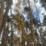 В выходные дни в регионе без существенных осадков - МЧС