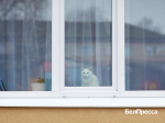 Белгородский губернатор встретился с жителями проблемного многоквартирного дома в Бирюче - Изображение 1