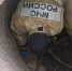 Спасатели МЧС Белгородской области вытащили из колодца двух щенков в Дубовом - Сетевое издание Знамя 31