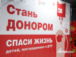 Белгородцы сдали около 25 литров крови для пострадавших в ДТП детей - Изображение 1