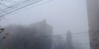 Туман и дожди ожидаются в Белгородской области 13 ноября - Комсомольская Правда