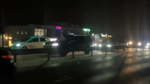 Три несовершеннолетние девочки пострадали в результате ДТП в Белгородском районе