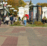 Белгородцы внесли более 5,5 млрд рублей в программу долгосрочных сбережений - БелПресса