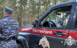 В Белгороде двое молодых людей задержаны с наркотиками