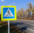 Пятеро водителей сели пьяными за руль в Белгородской области - Комсомольская Правда