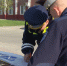 На минувших выходных 480 белгородцев переходили дорогу в неустановленном месте - Belnovosti.Ru
