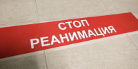 В Борисовском округе FPV-дрон атаковал авто с супругами – погибла женщина - БелПресса