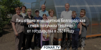 Лишь одна многодетная белгородская семья получила теплицу от государства в 2024 году - Fonar.Tv