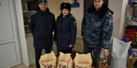 Судебные  приставы посетили приют для бездомных животных - УФССП