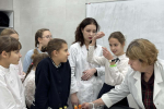 НИУ «БелГУ» продолжает профориентацию школьников