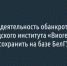 Научную деятельность обанкротившегося белгородского института «Виогем» могут сохранить на базе БелГУ - Fonar.Tv