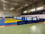 Турнир памяти Анатолия Рябушенко собрал юных дзюдоистов  в БГТУ им. В.Г.Шухова