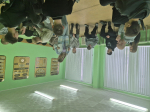 Студенты-психологи БУКЭП провели тренинг «Давайте познакомимся!» для студентов Белгородского политехнического колледжа