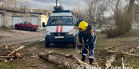В Белгороде коммунальщики и специалисты ГО ЧС убирают упавшие ветра деревья - Комсомольская Правда