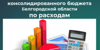Итоги исполнения консолидированного бюджета Белгородской области по расходам за 11 месяцев 2025 года - Департамент финансов и бюджетной политики Белгородской области