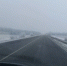 Туман и гололедица ожидаются в Белгородской области 20 и 21 декабря - Комсомольская Правда