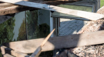 Вячеслав Гладков прокомментировал вопрос, прозвучавший на прямой линии президента РФ