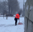 Коммунальные службы Белгорода приступили к уборке снега с 4 часов утра - Belnovosti.Ru