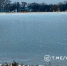 На белгородских водоёмах начался ледостав - Belnovosti.Ru