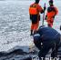 В Белгороде спасли вмёрзшего в лёд лебедя - БелПресса