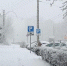 В Белгородской области усилят меры безопасности на новогодних праздниках - БелПресса