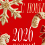 20251231_2.jpg - ВК Белогорье