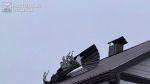 82 беспилотника атаковали Белгородскую область 31 декабря