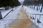 В Белгороде с гололедицей весь день борются 415 работников коммунальных служб