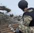 Под Белгородом нашли и обезвредили 53 боеприпаса - БелПресса