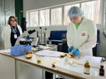 Белгородская область укрепляет статус флагмана чемпионатного движения «Профессионалы»