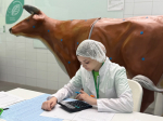 Белгородская область укрепляет статус флагмана чемпионатного движения «Профессионалы»