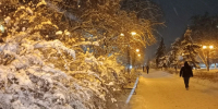 С раннего утра в Белгороде больше 500 человек расчищают улицы от снега - Комсомольская Правда