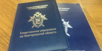 В Белгородской области сотрудник коммерческой организации подозревается в совершении имущественных преступлений с использованием служебного положения - Следственный комитет