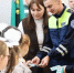 Полицейские провели познавательный квест по ПДД в Белгородском округе - Сетевое издание Знамя 31