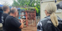 Белгородца будут судить за жестокую расправу над знакомым - Комсомольская Правда