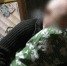 Жителю областного центра предъявлено обвинение в убийстве сына - Следственный комитет