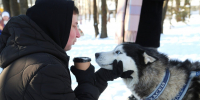В Белгороде в Центральном парке Ленина прошёл «Хаски-Trail» - Мир Белогорья