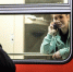 696 тысяч пассажиров перевезли пригородные белгородские поезда в 2025 году - БелПресса