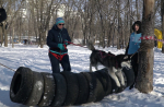 В Белгороде прошёл традиционный зимний забег «Хаски – Trail»
