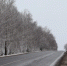 410 км автодорог было отремонтировано в Белгородской области в 2025 году - Сетевое издание Знамя 31