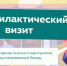 Белгородская область: «Профилактические визиты способствовали выявлению актуальной проблематики в дошкольном образовании» - Министерство образования