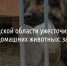 В Белгородской области ужесточили правила содержания домашних животных - Fonar.Tv