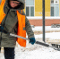9 008 белгородцев трудоустроились через кадровые центры «Работа России» в 2025 году - БелПресса
