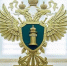 Виновнику смертельного ДТП в Белгороде ужесточили наказание - БелПресса
