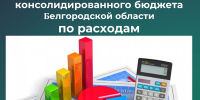 Министерством финансов и бюджетной политики Белгородской области подведены итоги исполнения консолидированного бюджета области по расходам за 2025 год - Департамент финансов и бюджетной политики Белгородской области